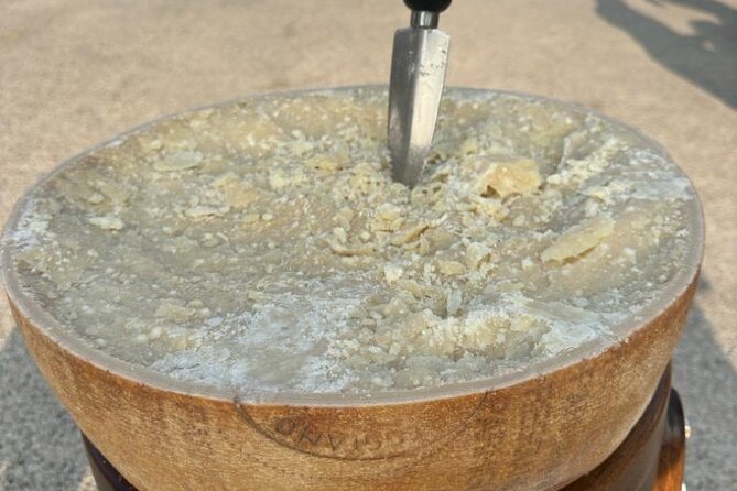 From Bologna: Parmesan Cheese & Balsamic Vinegar TourLunch - Key Points