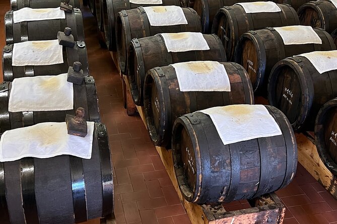 From Bologna: Parmesan Cheese & Balsamic Vinegar TourLunch - Cheese and Balsamic Production