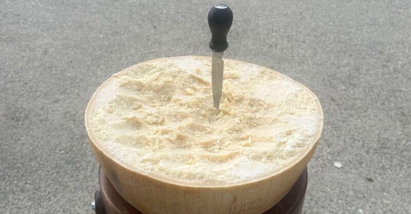From Bologna: Parmesan Cheese & Balsamic Vinegar Tour+Lunch - Important Considerations