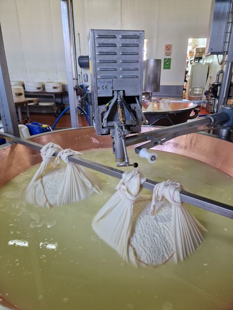 From Bologna: Parmesan, Vinegar, Lambrusco With Transfer - Cheese Factory Visit