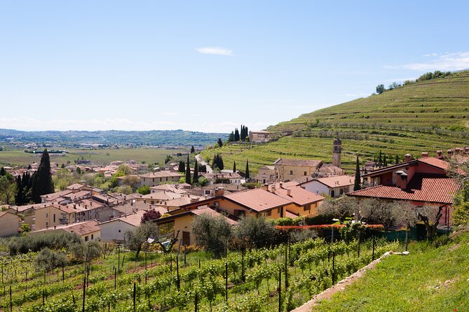From Bologna: Verona and Valpolicella Day Tour - Private Transportation Convenience