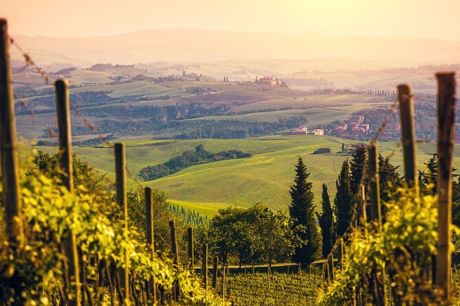 From Bologna: Verona and Valpolicella Day Tour - Inclusions and Pickup Information