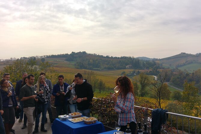 From Bologna: Wine Tasting and Vineyard Tour With the Winemaker - Personalized Winery Tour Experience