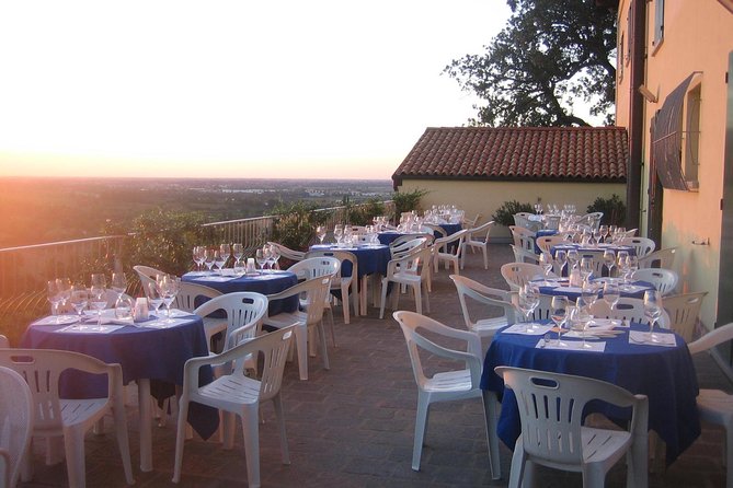 From Bologna: Wine Tasting and Vineyard Tour With the Winemaker - Panoramic Views of Bolognese Hills