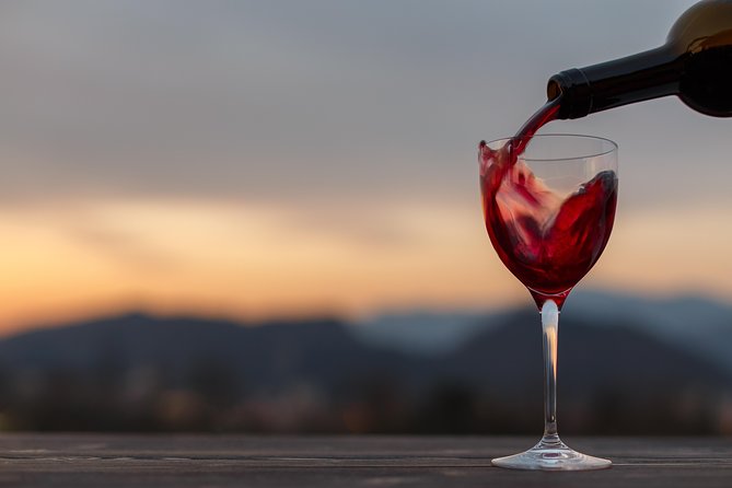 From Bologna: Wine Tasting and Vineyard Tour With the Winemaker - Exclusive Wine Tasting Selection
