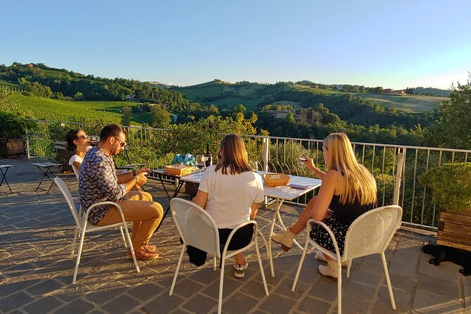 From Bologna: Wine Tasting and Vineyard Tour With the Winemaker - Delectable Starter Pairing