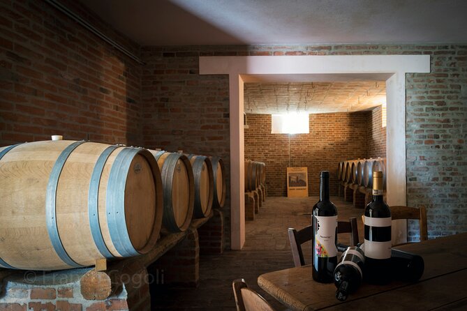 From Bologna: Wine Tasting and Vineyard Tour With the Winemaker - Reviews and Ratings Breakdown