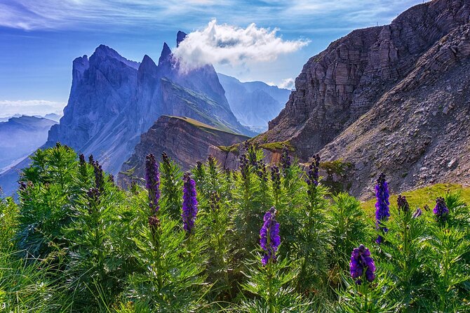 From Bolzano: Private Tour of Dolomites in Mount Seceda and Funes Valley - Traveler Experience
