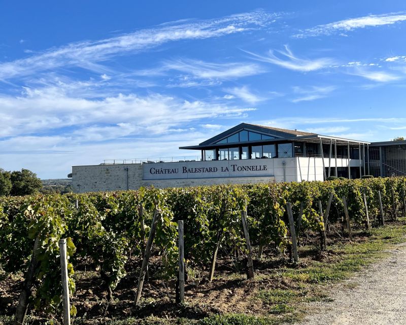 From Bordeaux: Afternoon Saint-Emilion Wine Tasting Trip - French Appetizer Platter