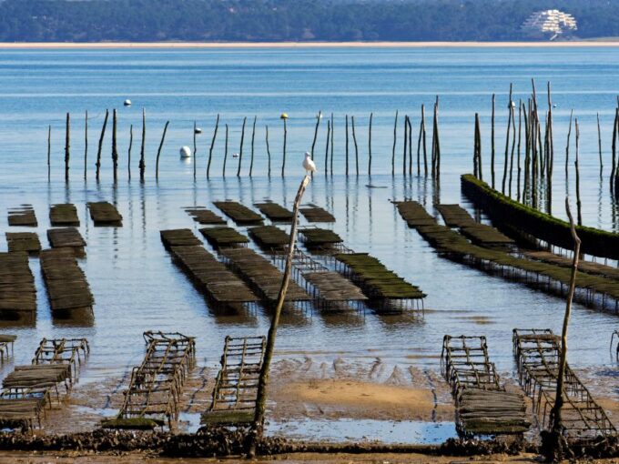 From Bordeaux: Arcachon and Pilat Dune Private Tour - Pricing and Payment