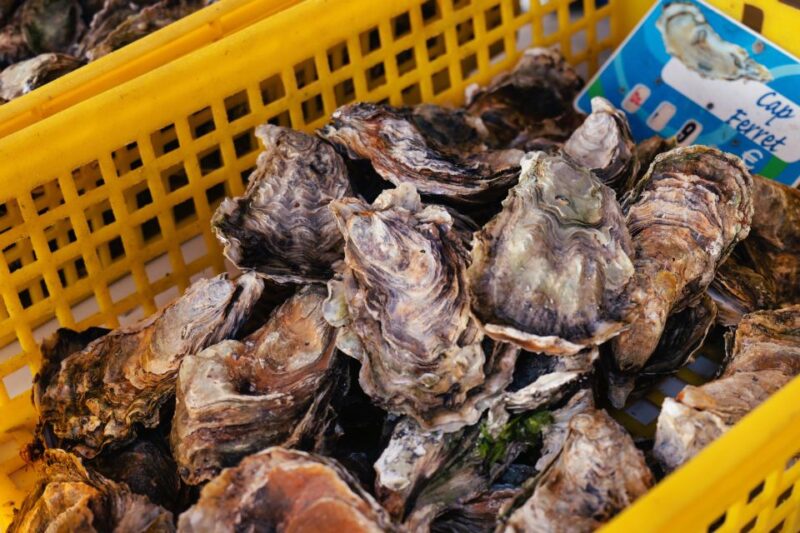 From Bordeaux: Arcachon Bay Full Day Tour and Oyster Lunch - Oyster or Shrimp Lunch