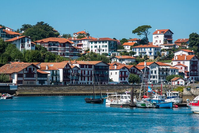 From Bordeaux: Basque Country Private Tour - Flexibility of a Private Tour