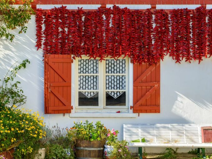 From Bordeaux: Full-Day Private Basque Country Tour - Informative Brochures Included