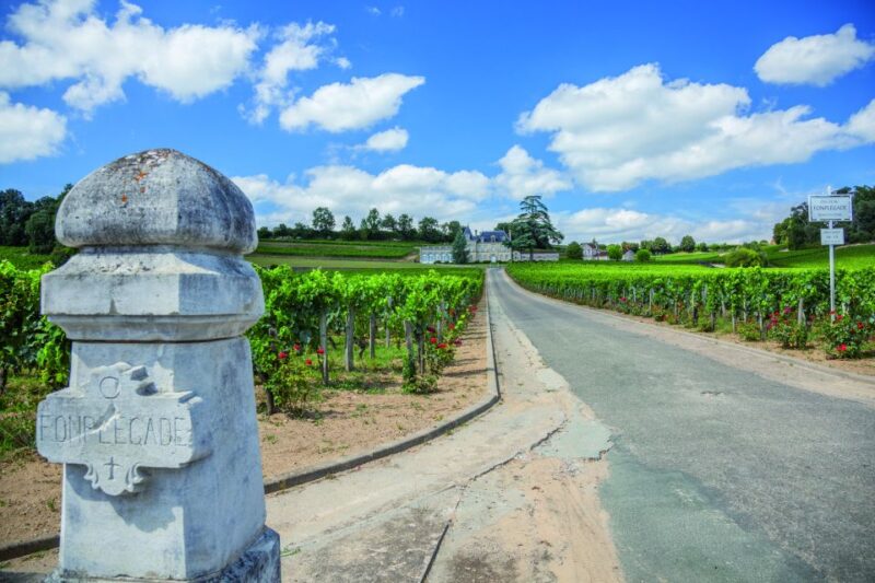 From Bordeaux: Full-Day St Emilion Wine Tasting Tour - Chateau Visits and Tastings