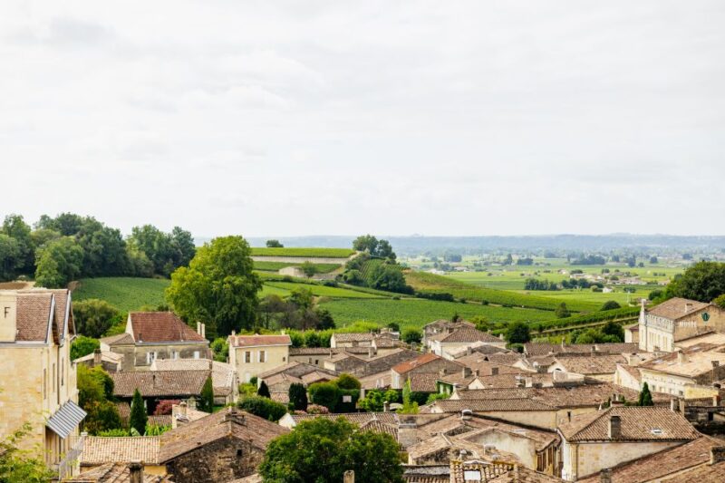 From Bordeaux: Half-Day Saint-Émilion Tour and Wine Tasting - Itinerary Highlights