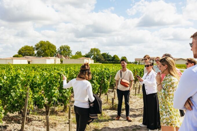 From Bordeaux: Half-Day Saint-Émilion Tour and Wine Tasting - Tour Suitability and Schedule