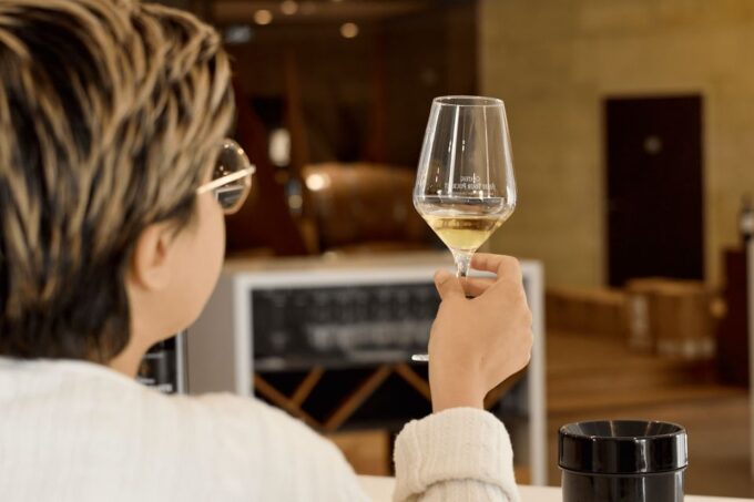 From Bordeaux: Private Wine Tour to Saint-Émilion - Visiting the Wineries