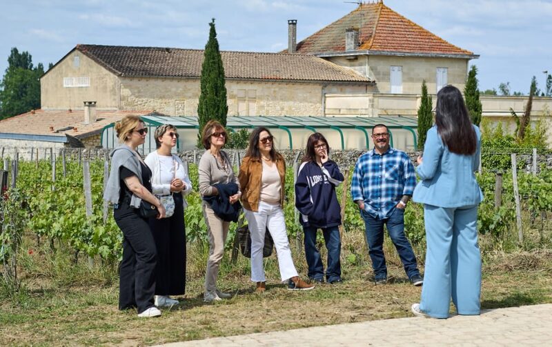 From Bordeaux: Saint-Émilion Food and Wine Tour - Key Points