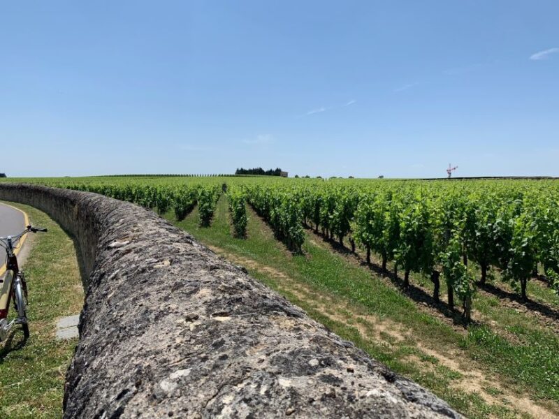 From Bordeaux: Saint-Emilion Guided Wine Tasting Tour - Inclusions in the Tour