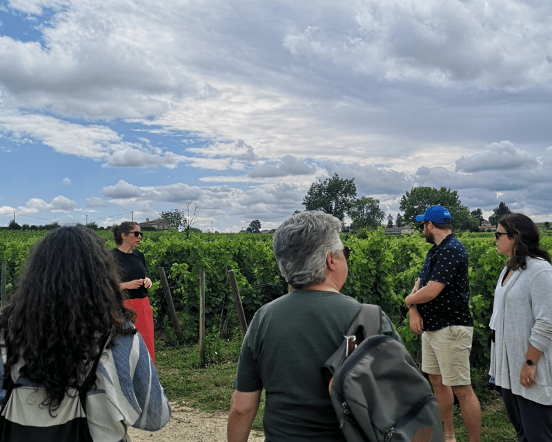 From Bordeaux: Saint-Émilion Half-Day Tour With Wine Tasting - Key Points