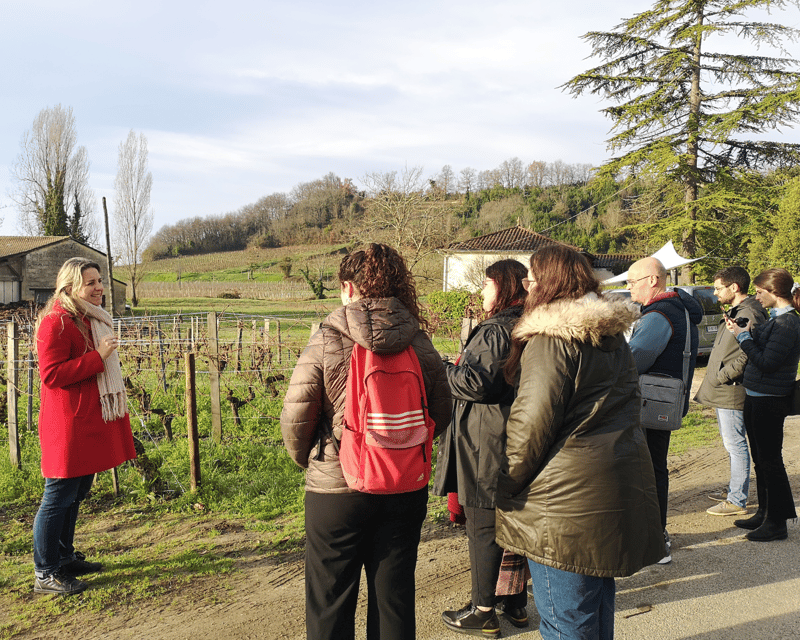 From Bordeaux: Saint-Émilion Half-Day Tour With Wine Tasting - Wine and Culinary Experience