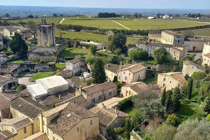 From Bordeaux: Saint-Émilion Half-Day Trip With Wine Tasting - Alcohol and Water Recommendations