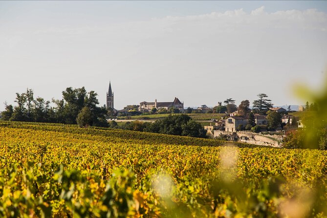 From Bordeaux: Saint-Émilion Half-Day Trip With Wine Tasting - Pricing and Cancellation Policy