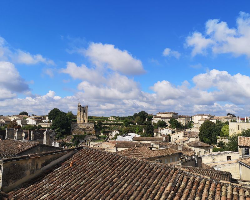 From Bordeaux: Saint-Émilion Half-Day Trip With Wine Tasting - Important Information