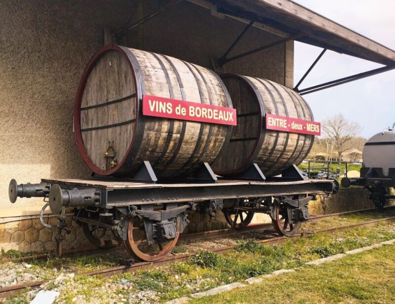 From Bordeaux to Saint Emilion by Gravel Bike - Wine Tasting - Charming Villages