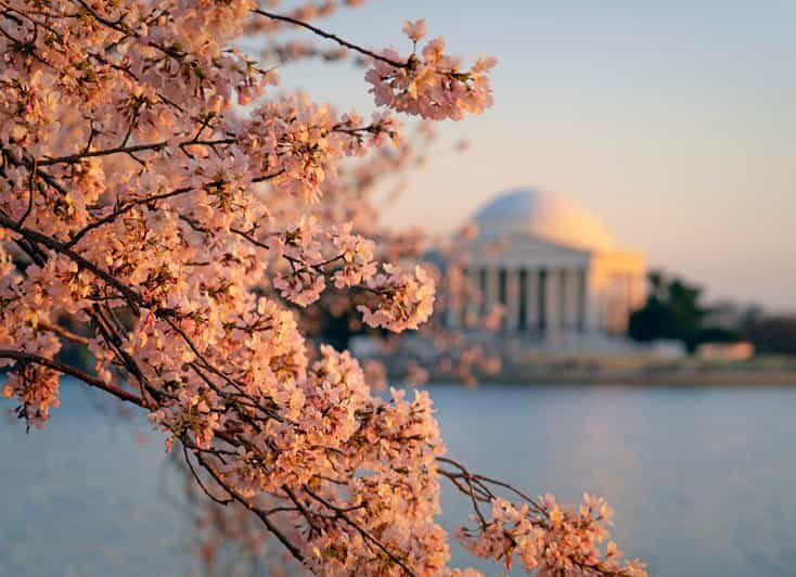 From Boston: 4-Day Tour to New York, D.C.&Niagara Falls - Key Points