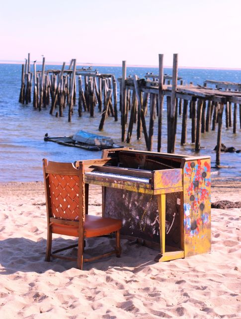 From Boston: Cape Cod and Plymouth Day Tour - Inclusions and Exclusions