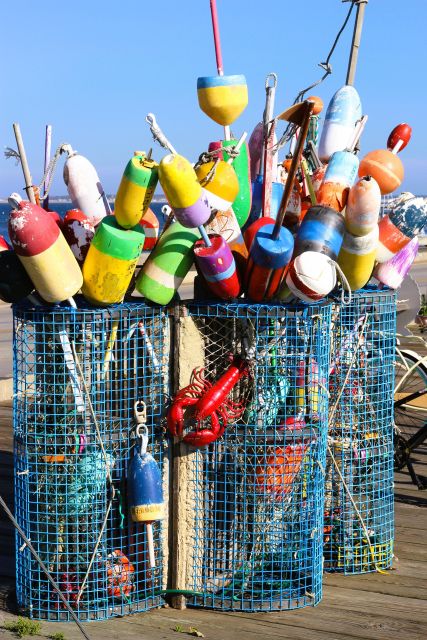 From Boston: Cape Cod and Plymouth Day Tour - Customer Reviews