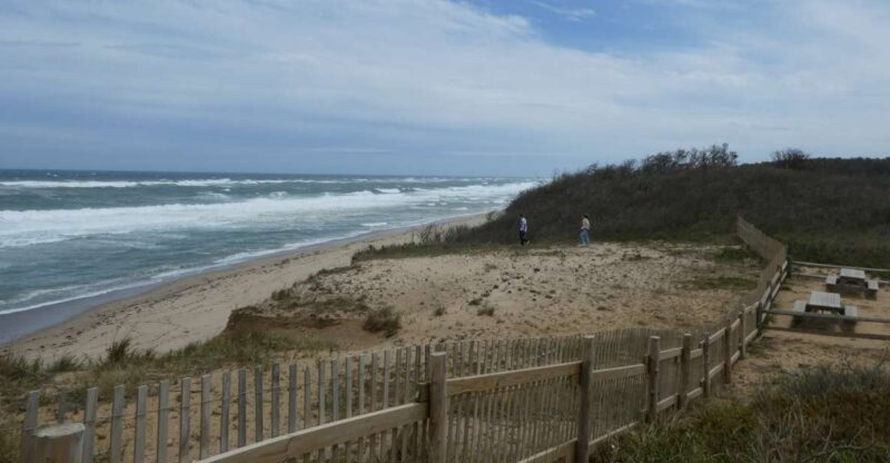 From Boston: Cape Cod and Provincetown Private Day Tour - Flexibility and Customization