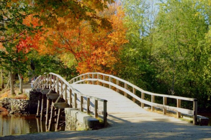 From Boston: Private Lexington and Concord Driving Tour - Walden Pond (inspiration for Henry David Thoreau)