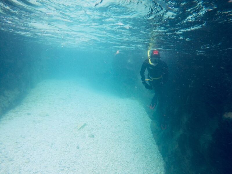 From Bovec: Soča Valley Snorkeling & Riverwalking - Exploring the Učja Gorge