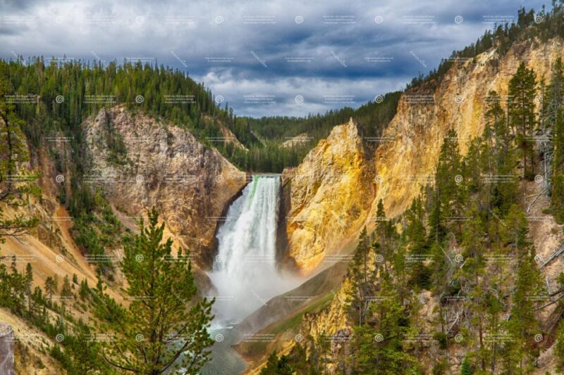 From Bozeman: Yellowstone Full-Day Tour With Entry Fee - Highlights and Experience