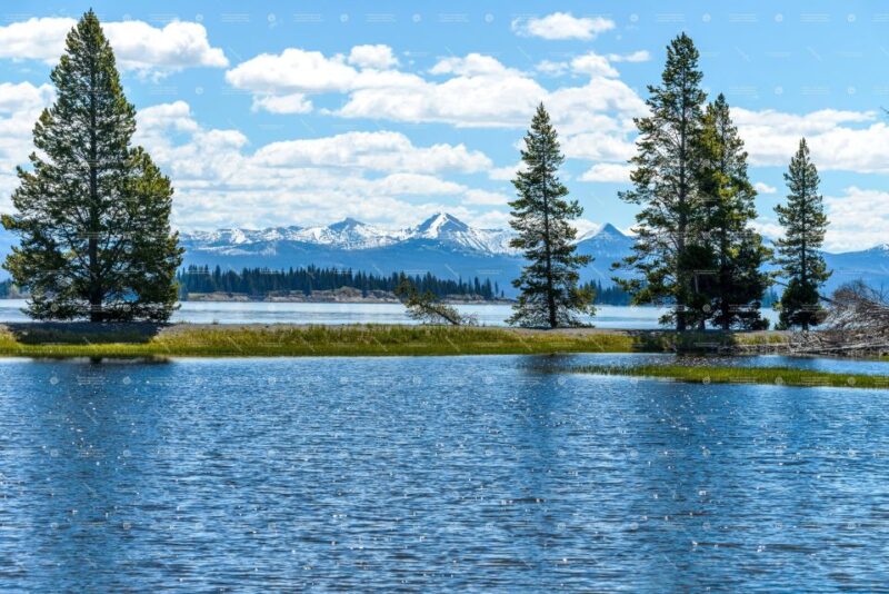 From Bozeman: Yellowstone Full-Day Tour With Entry Fee - Inclusions and Recommendations