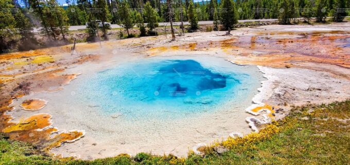 From Bozeman: Yellowstone Full-Day Tour With Entry Fee - Customer Feedback