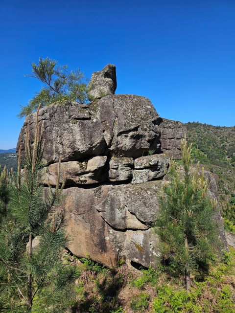 From Braga: Full-Day Tour in Gerês National Park - Key Points