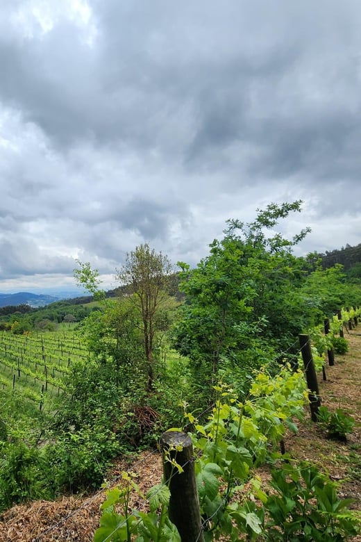 From Braga: Full-Day Tour in Guimarães & Fafe - Inclusions