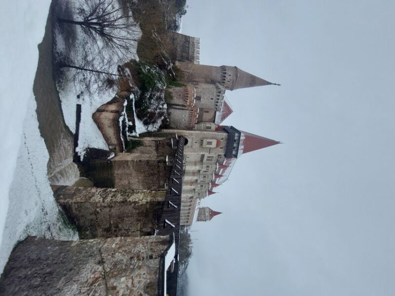 From Brasov: Corvin Castle and Sibiu (Optional Sighisoara) - Customer Feedback