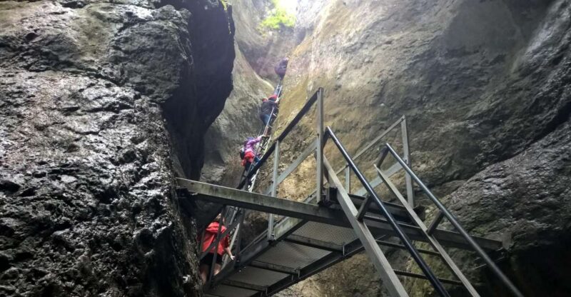 From Brasov: Day Trip to the Seven Ladders Canyon - Key Points