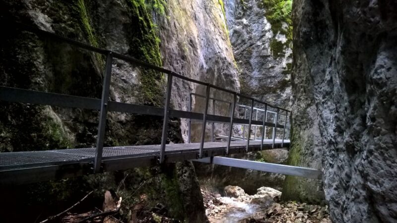 From Brasov: Day Trip to the Seven Ladders Canyon - Itinerary