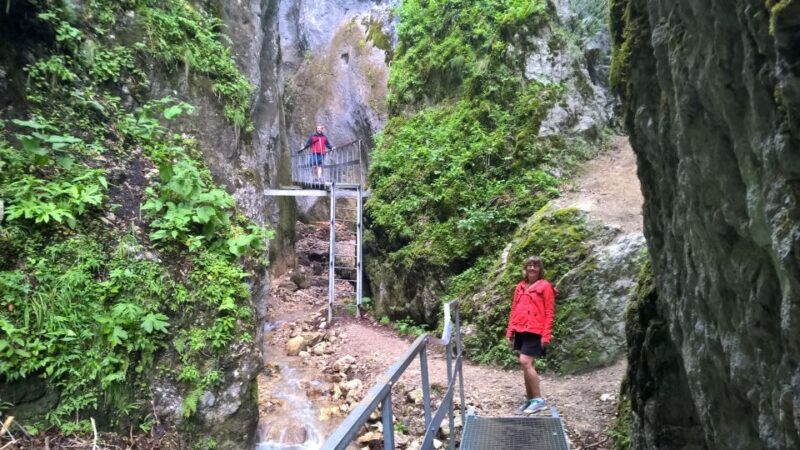From Brasov: Day Trip to the Seven Ladders Canyon - Participant Restrictions