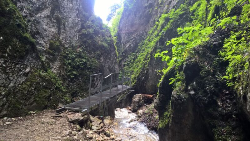 From Brasov: Day Trip to the Seven Ladders Canyon - Recommendations and Reviews