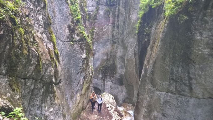 From Brasov: Day Trip to the Seven Ladders Canyon - Pickup and Transportation