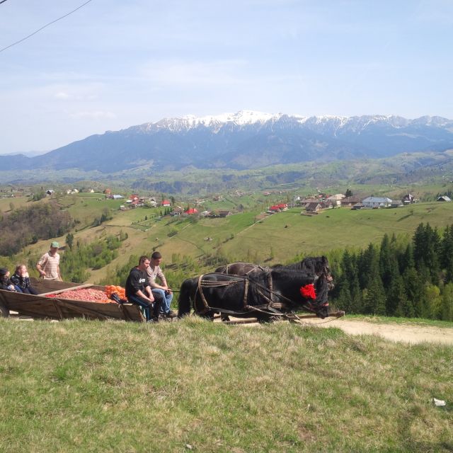 From Brașov: Half or Full Day Transylvania Jeep Tour - Experience Highlights