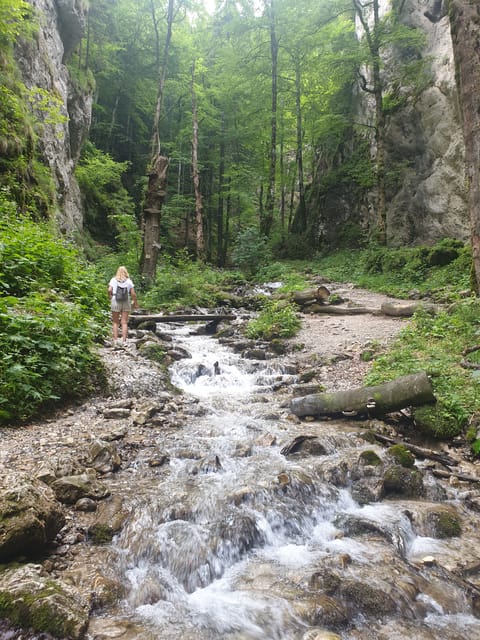 From Brasov: Hiking in Piatra Craiului National Park - Hiking Duration and Cost