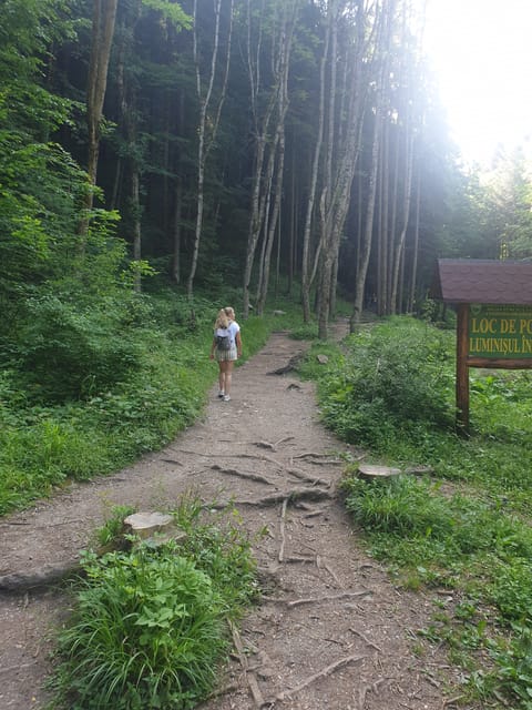 From Brasov: Hiking in Piatra Craiului National Park - Group Size and Language