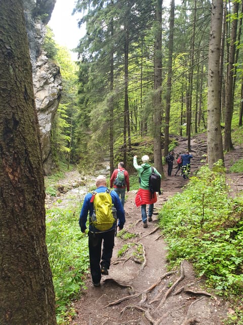 From Brasov: Hiking in Piatra Craiului National Park - Cancellation Policy